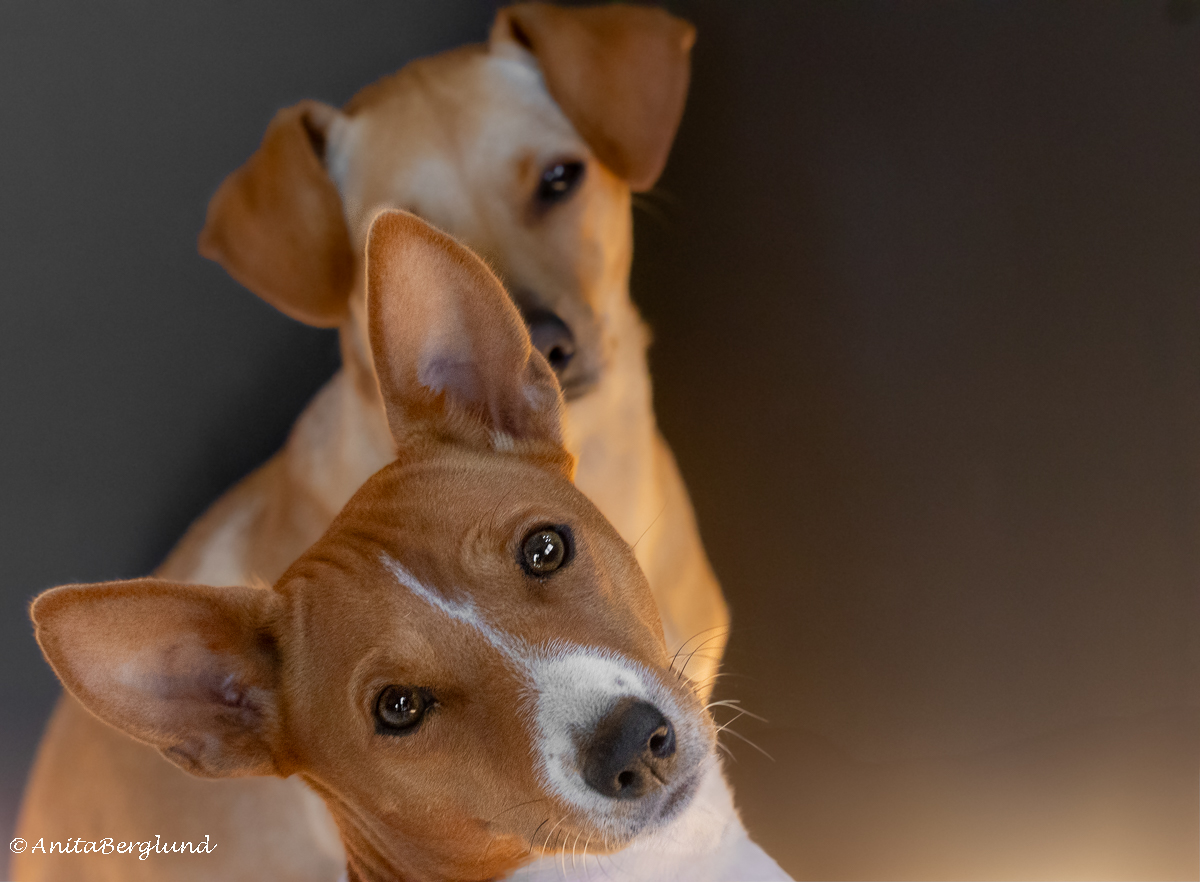 Photography in nature