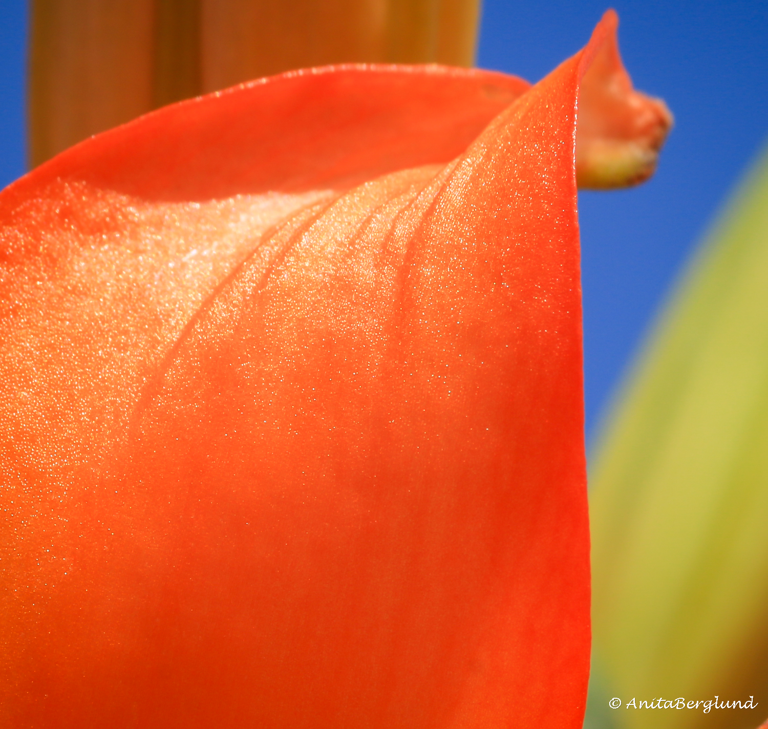 Lens-artists challenge#385 – unusual crop