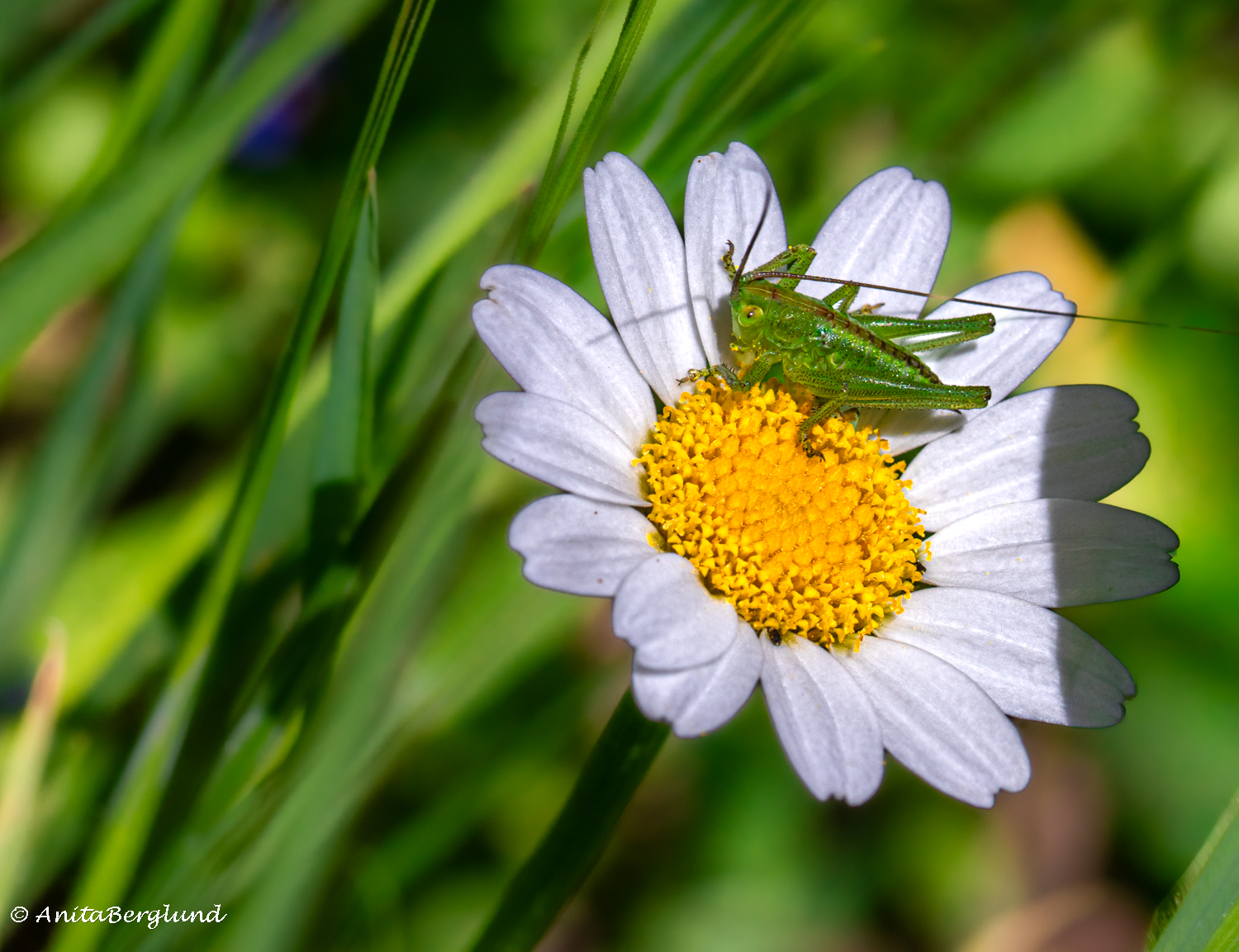 Small details in passing