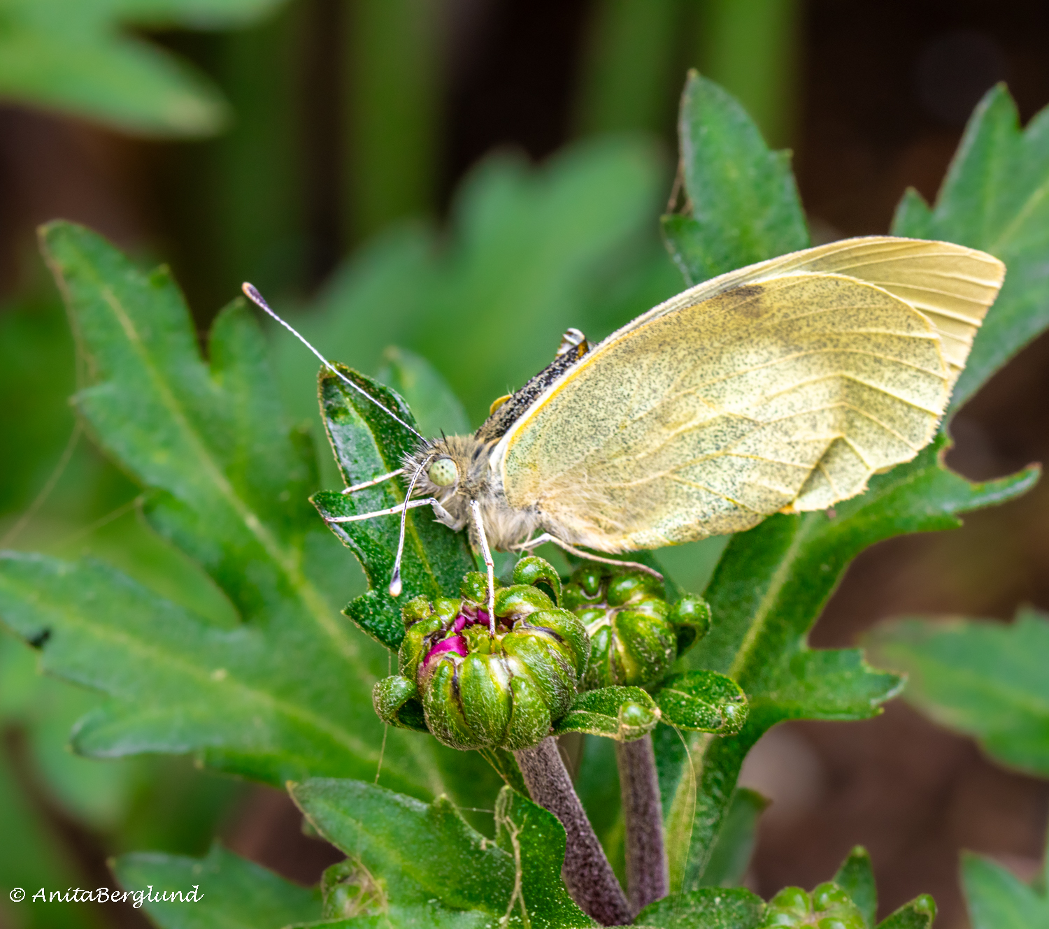 Some moments stay, others pass by