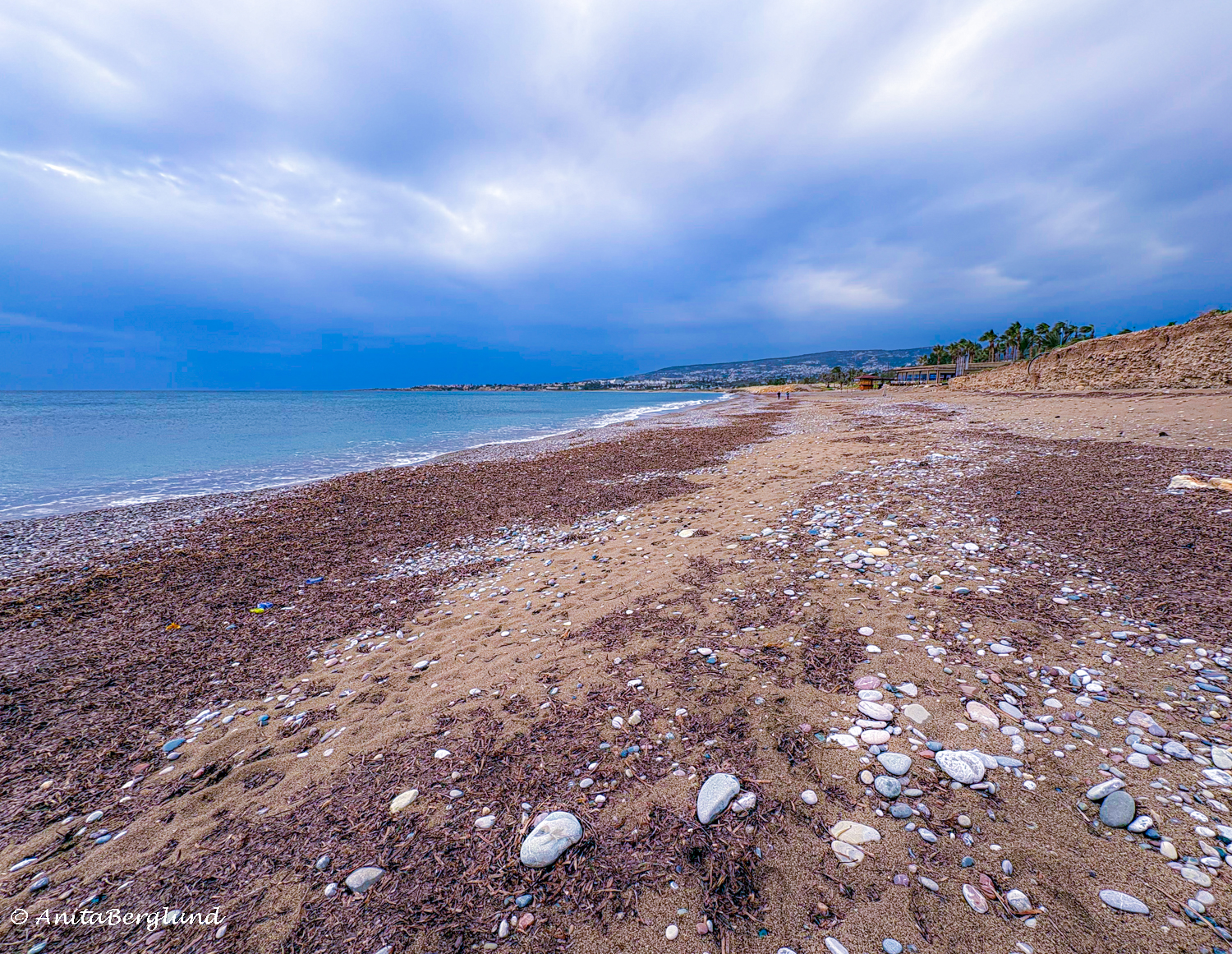 when the Camera Stayed Home