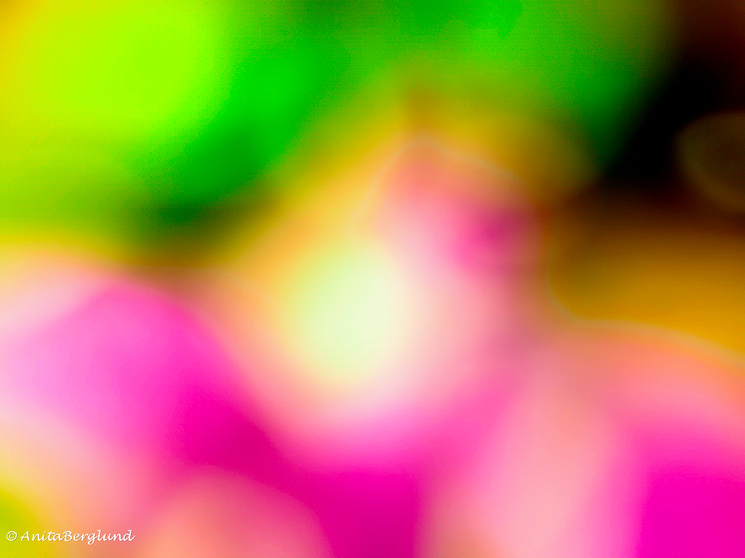 From My Archive #4 — In Colour