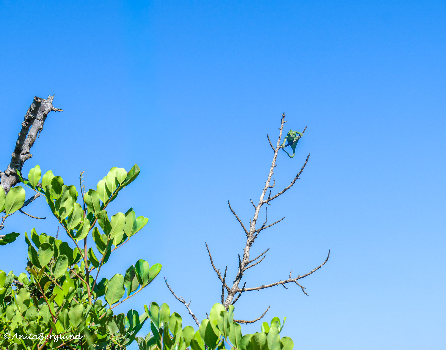 There’s Something Up There…